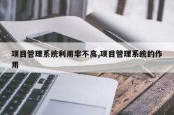 项目管理系统利用率不高,项目管理系统的作用
