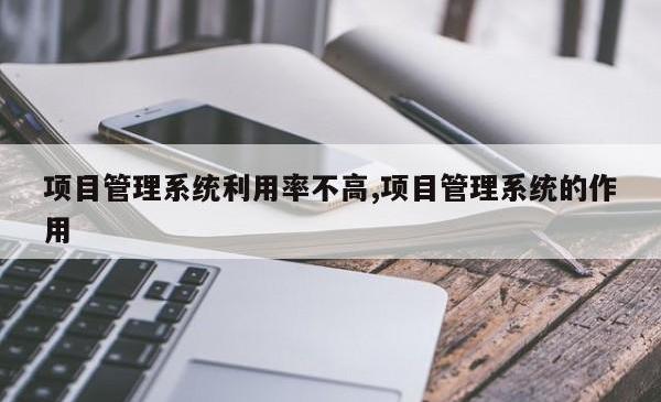 项目管理系统利用率不高,项目管理系统的作用