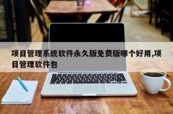 项目管理系统软件永久版免费版哪个好用,项目管理软件包