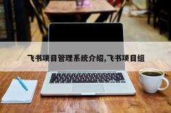 飞书项目管理系统介绍,飞书项目组