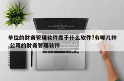 单位的财务管理软件属于什么软件?有哪几种,公司的财务管理软件