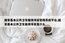 国家基本公共卫生服务项目管理系统平台,国家基本公共卫生服务项目是什么