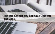 项目管理系统的作用和意义怎么写,项目管理系统的好处