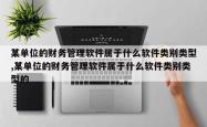 某单位的财务管理软件属于什么软件类别类型,某单位的财务管理软件属于什么软件类别类型的