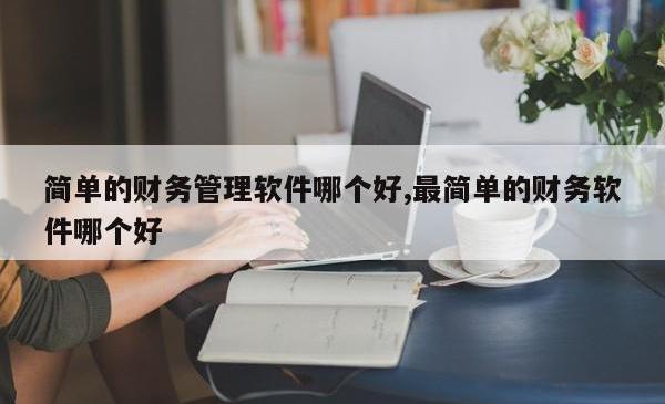 简单的财务管理软件哪个好,最简单的财务软件哪个好