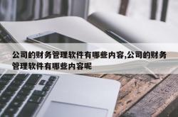 公司的财务管理软件有哪些内容,公司的财务管理软件有哪些内容呢