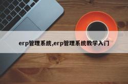 erp管理系统,erp管理系统教学入门