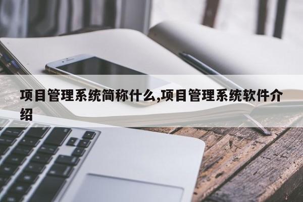 项目管理系统简称什么,项目管理系统软件介绍