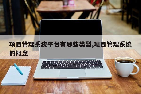 项目管理系统平台有哪些类型,项目管理系统的概念